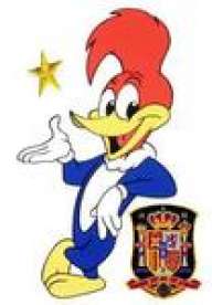 PAJARO LOCO