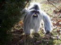 YETI16V