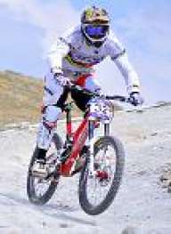 Syndicate MTB
