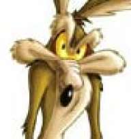El Coyote