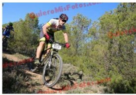 moreno81