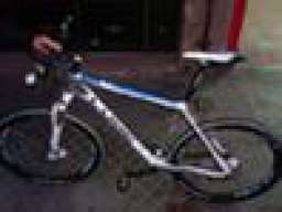 chicopucelax