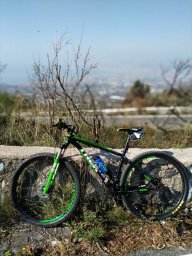 souto81