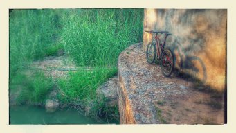 Migue001