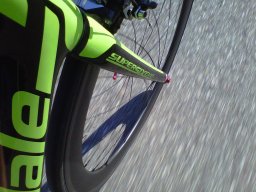 TriTroto