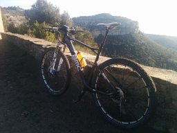 sampo306