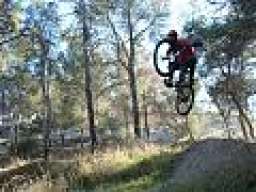 freerider_specialized