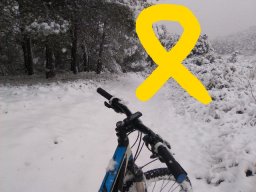 alpi10