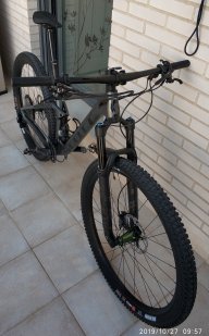 pakis 26
