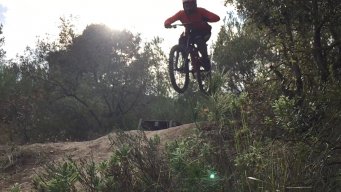 Roynox95