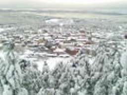 palomeke