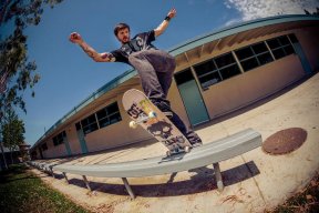 chris cole