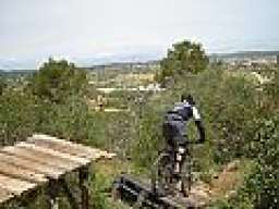 Camaleo