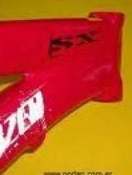 David_