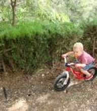 fibike77