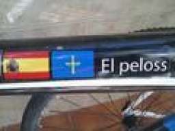 pelosstheboss