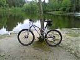 mael556