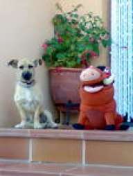 urkox