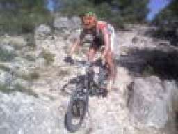 david-xt