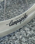 antoniochapman