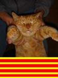 catiuSKAs