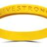 GARRISTRONG