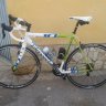 rocuso79