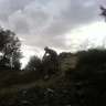 Tiroides