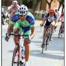 wilier79