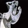 caballoco