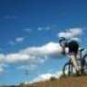 JAVIER51923