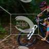 Andreubike