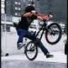 Whipshow