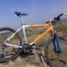 orbea team