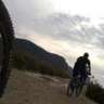 malic