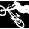 World.rider