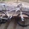 jocaguz