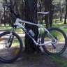 Conguito!