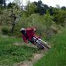 cantero dh