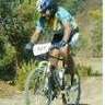 lacobin