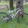 alber77