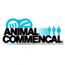 antakara@msn.com