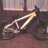 gonza15