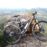 rikibici