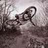 Scott_Dh