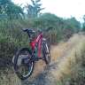 padrot0