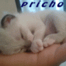 pricho
