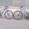 neno206