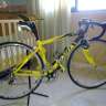 javimv1