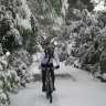 mallorcamtb82